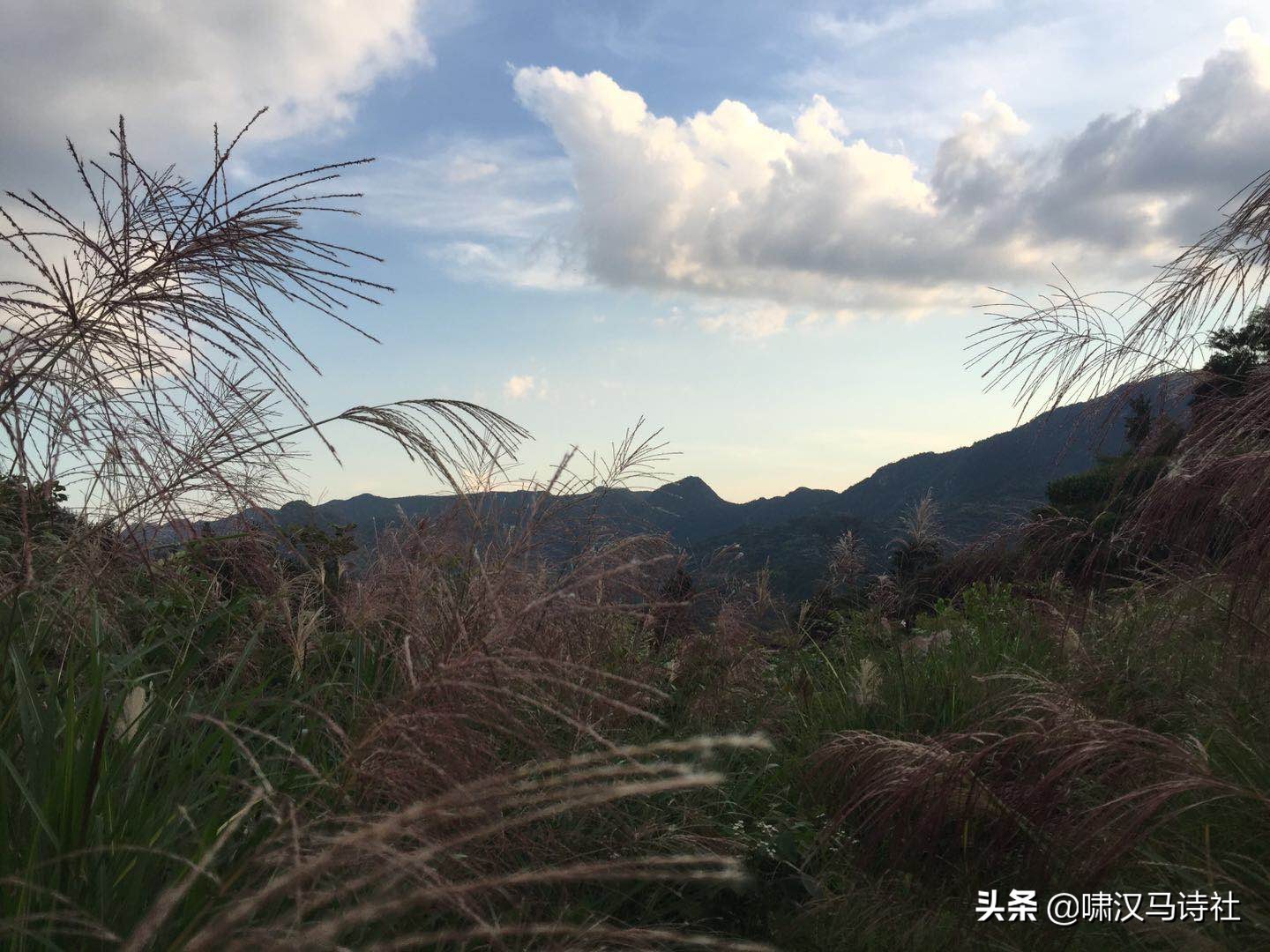兴来穷尽清溪水，云自悠悠人自闲——啸汉马诗社雅集第三十八辑