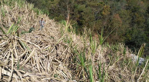 为2万元从名校退学，复读12年的“高考王”唐尚珺，如今怎样了