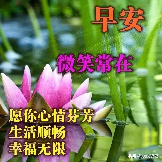 路在脚下，自己走；事在身上，自己担，，早安