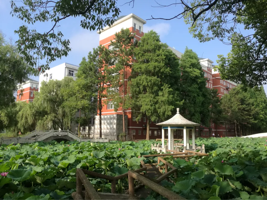 快讯！ 黄冈职院跻身高职院校“双高”计划