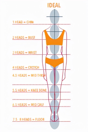 WildFieldHealth|如何判断身材比例好不好？