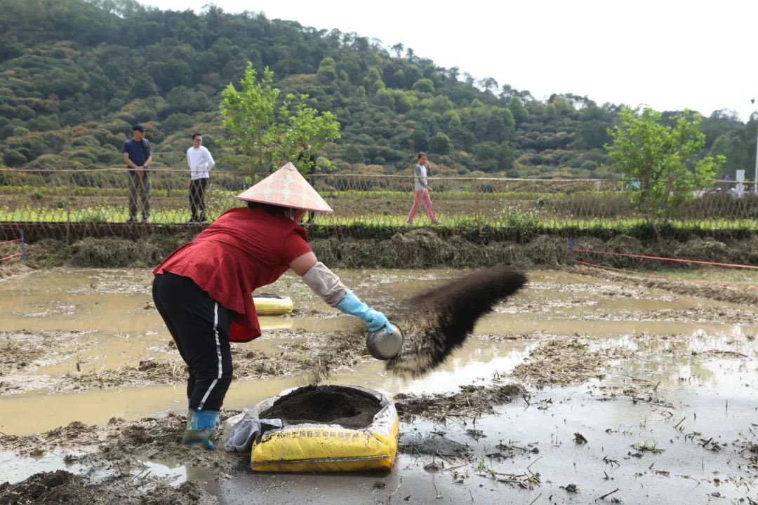 从化｜打造产学研高地，中山大学农学院助推街口谱写乡村振兴新篇章
