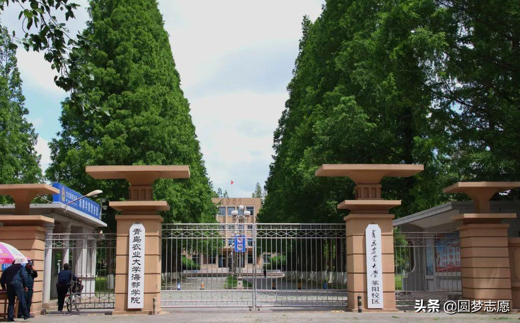 海都学院（山东莱西又迎来一所本科高校）