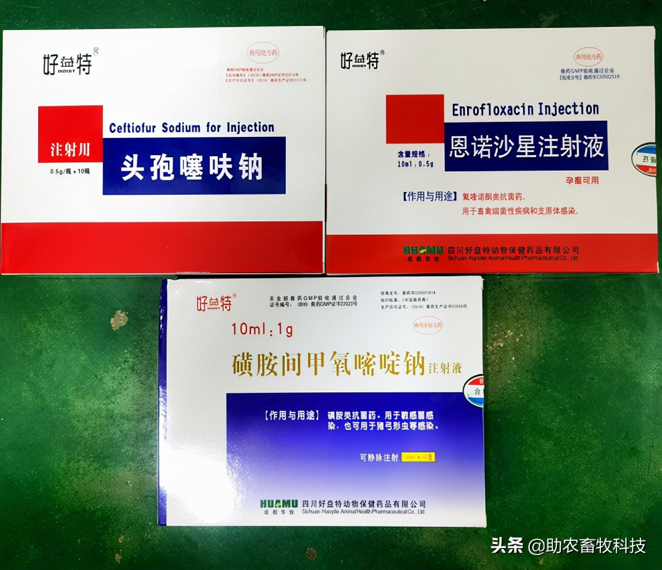 猪场10种常见疾病的症状以及用药防治方案