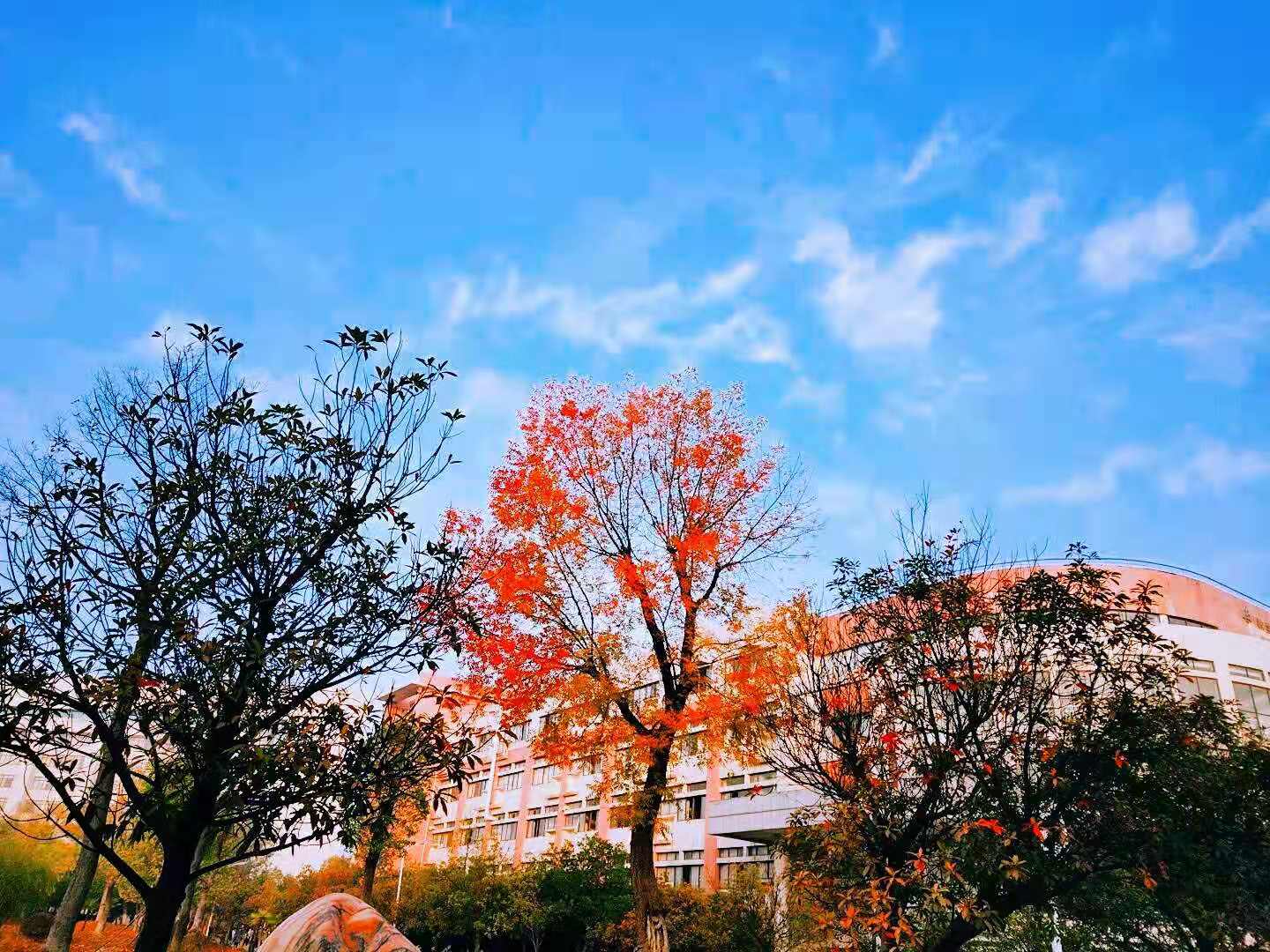 我的大学—在兵荒马乱中学着轻装简行