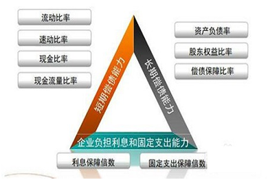 「利息比率」偿债能力分析指标详解（长期偿债能力分析指标包括哪些内容）