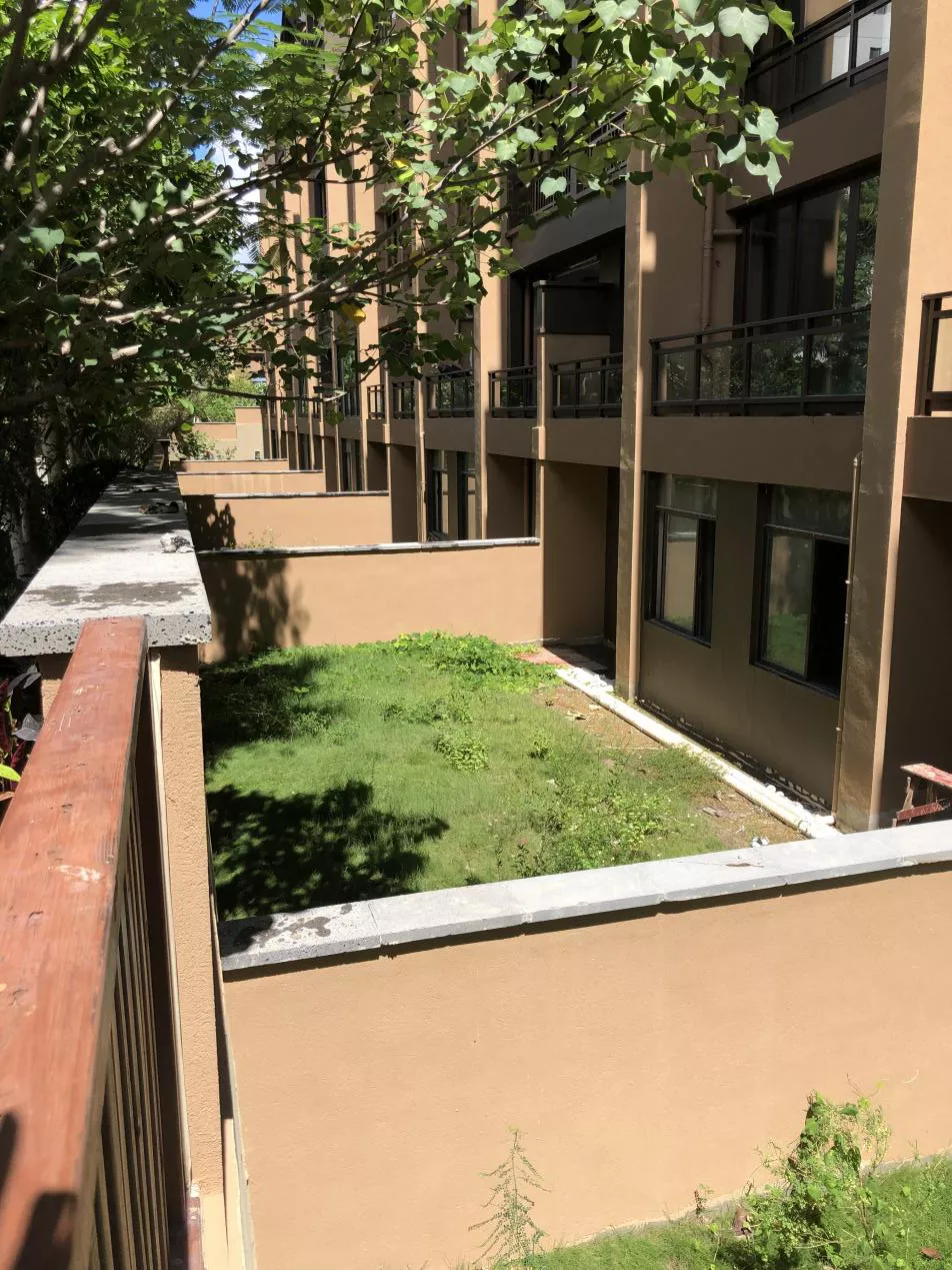 三亚一高档小区地下一层魔幻变首层:被认定违建,执法却束手无策