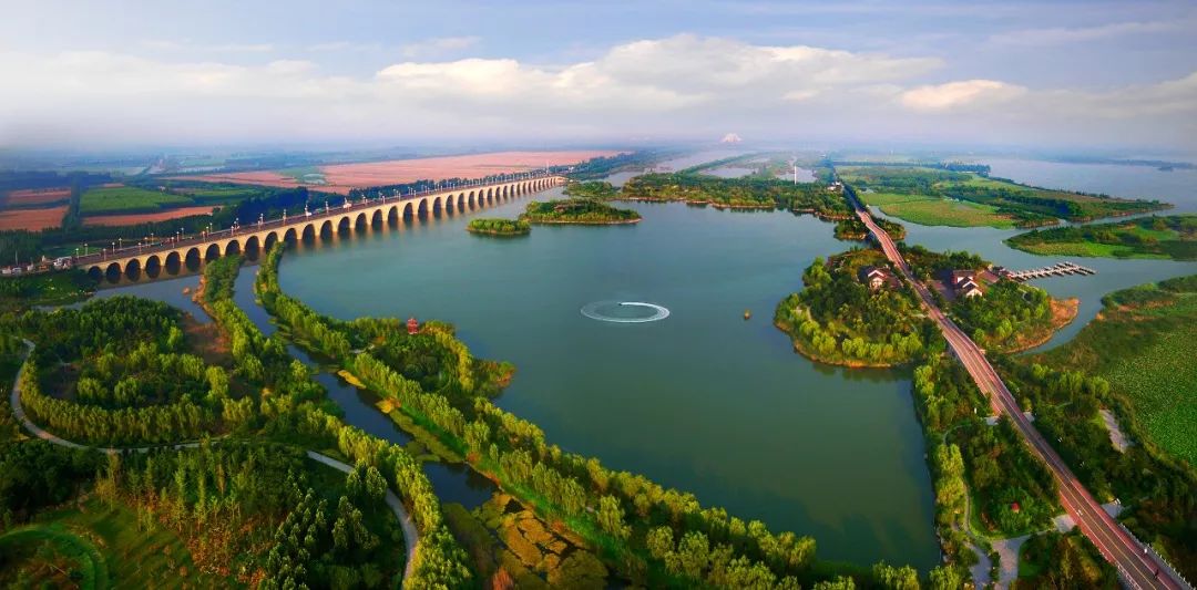 山东2010-2020年人口变化:1市负增长,德州,烟台,聊城微增