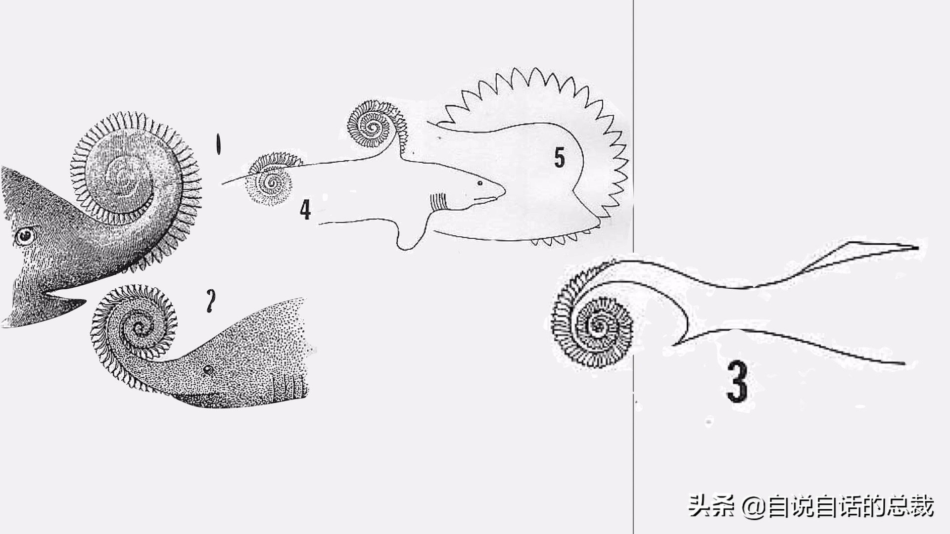 5种比巨齿鲨还恐怖的海怪，背后隐藏着一个人类起源的故事