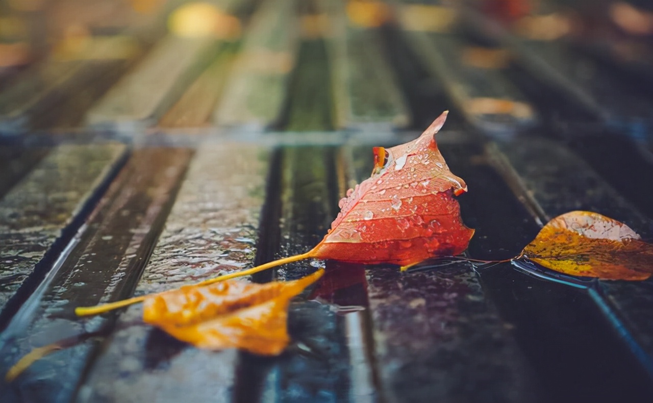 十一月：浅冬细雨飞，恋你永不悔