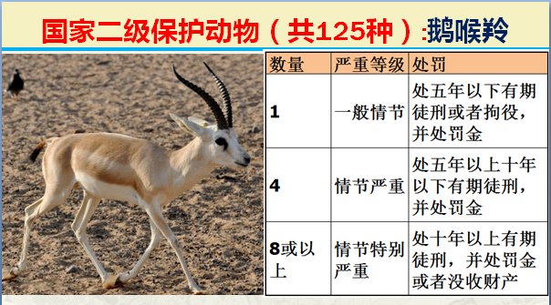 二级保护动物（国家最新125类二级野生保护名录）