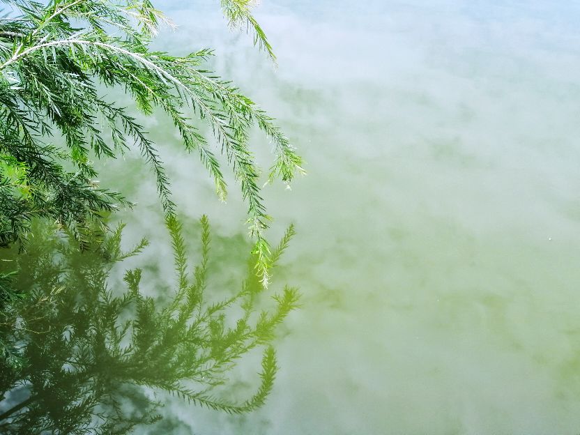 开学两周，我眼中的贺州学院