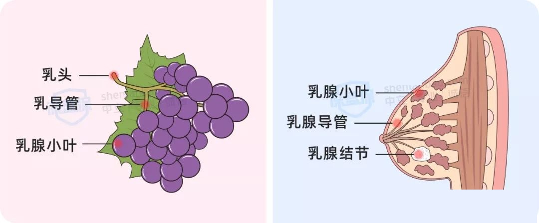 身体有各种毛病，如何买保险？历时数月整理了一份产品投保清单