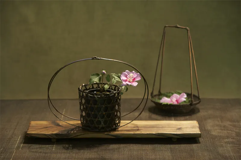 茶席花 茶道美学中的点睛之笔 佳辰