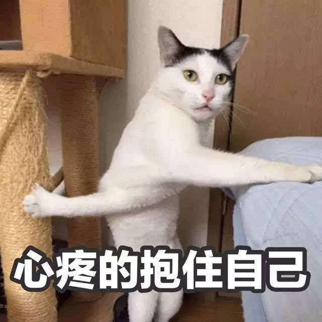 给猫咪取什么名字，其实代表你的性格，准