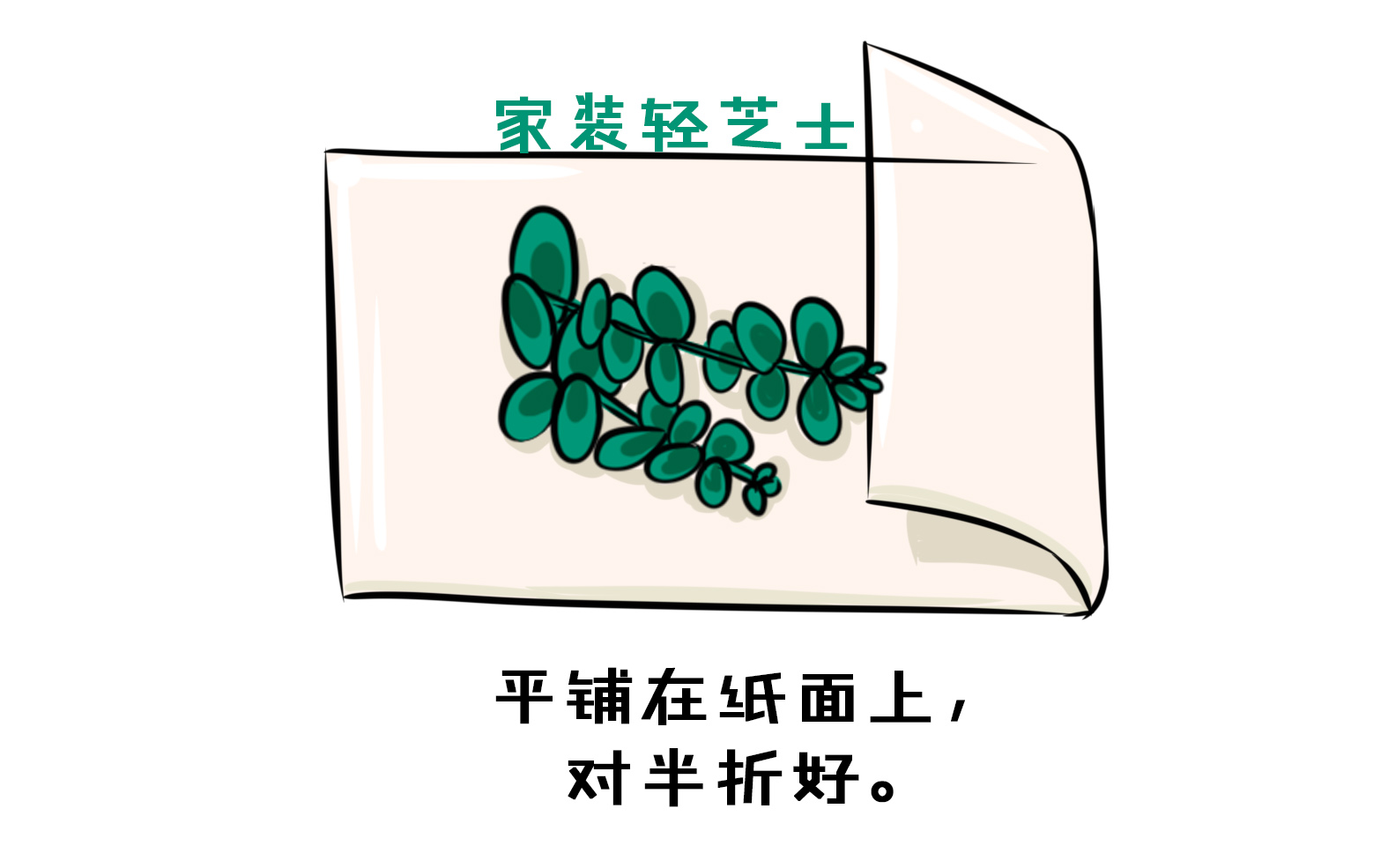鮮花會凋謝？3種干花的家庭自制方法，留住花的美麗