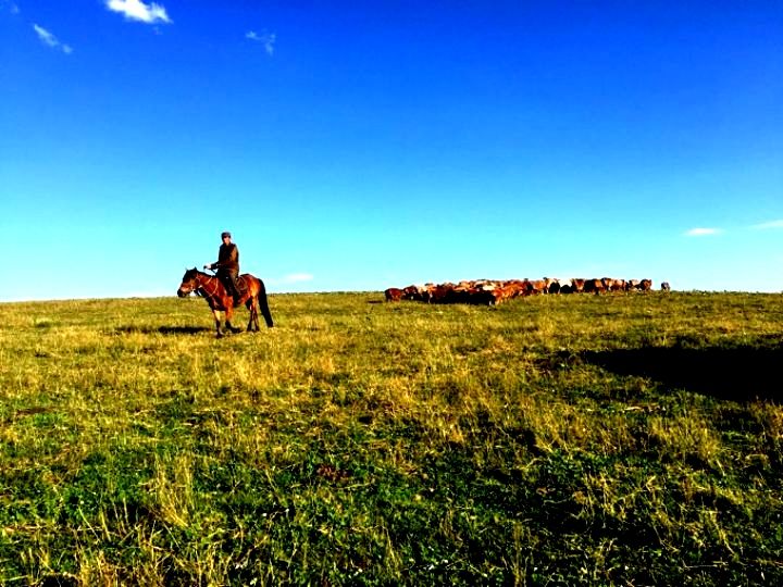 令人难以忘怀的梦幻禾木