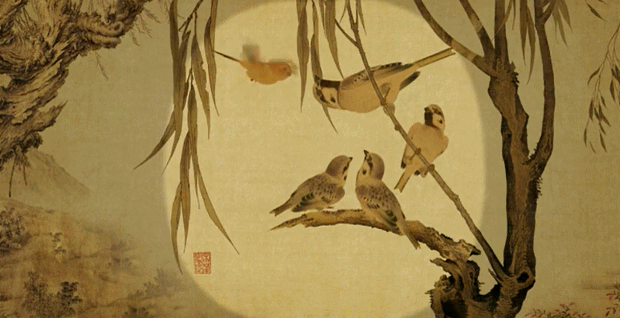 杨春动画短片作品《美丽的森林》动图欣赏