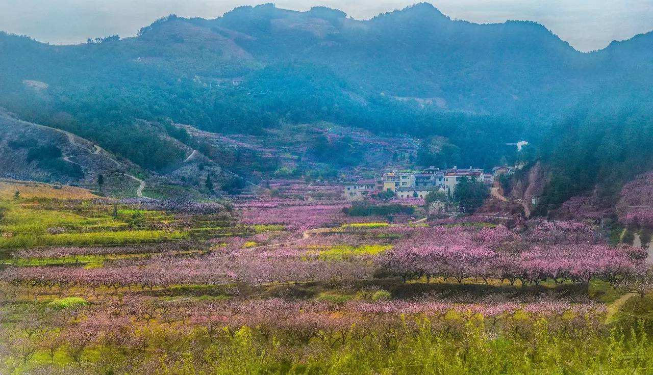 南郑十里桃花景区图片