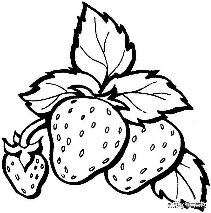 儿童画简笔画临摹素材52张:水果系列画法,收藏备用,在家学画画
