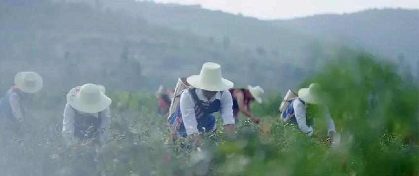 继文和友、茶颜悦色后，谁是长沙餐饮的第三大名片？