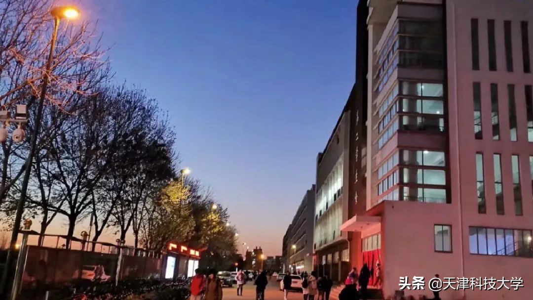 【毕业季】一枝一叶总关情，让我再次走近您（滨海校区）