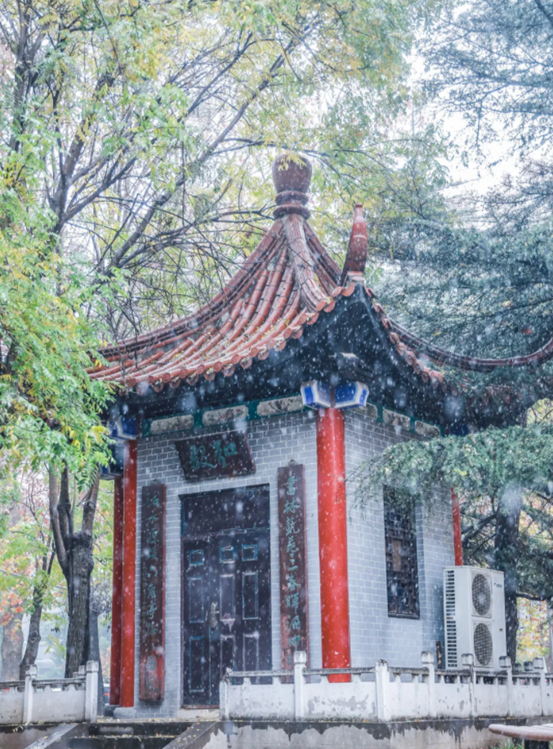 揭秘！北京“最国际范儿”大学之一：周总理关怀创办，创下多次全国第一！