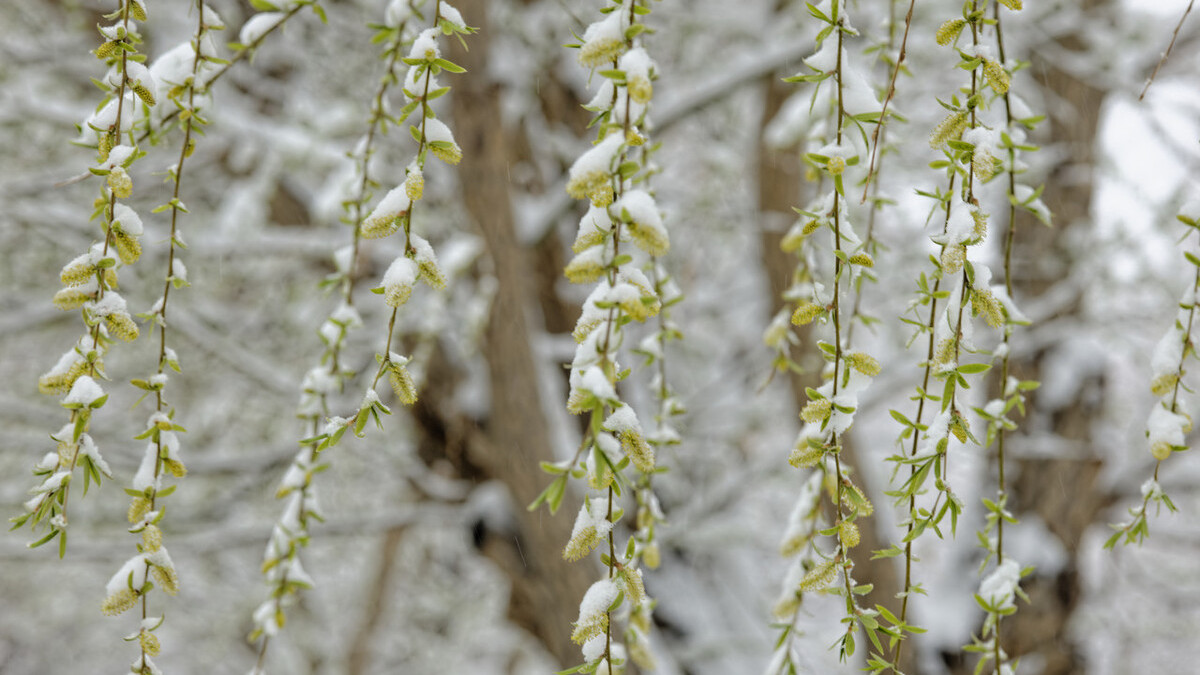 冬雪厚重乐融融：孩子们在雪地里的欢乐时光与成长体验