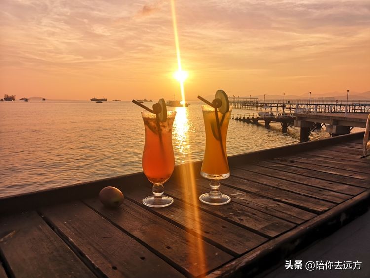 西沙~南海中的一片莲