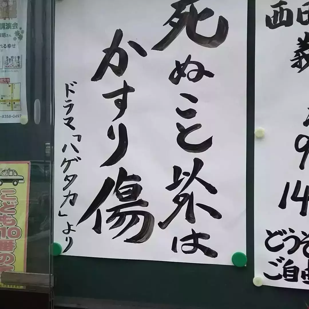 日本寺院扎心标语走红网络：人生除了生死，其余都是擦伤