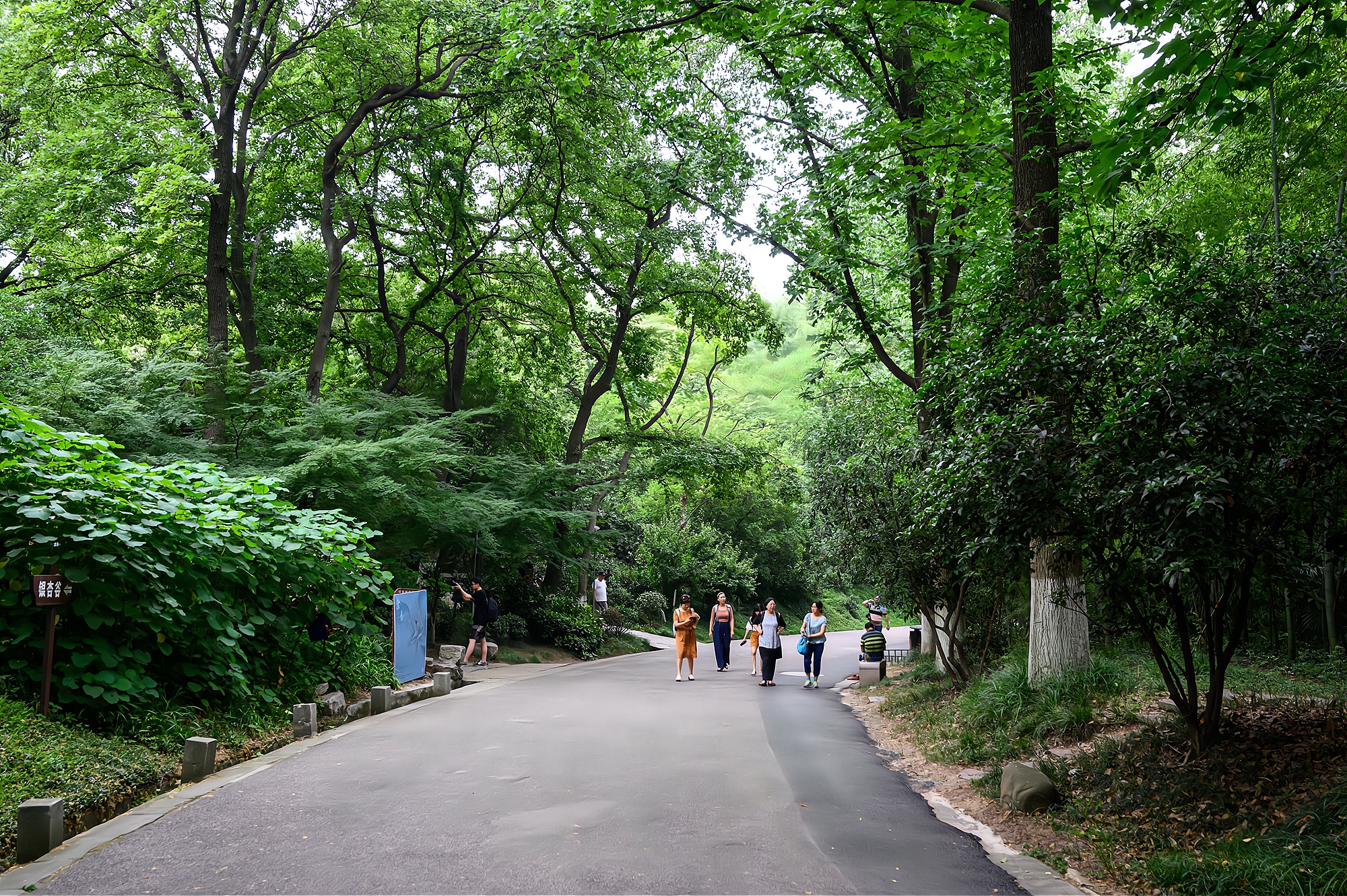 清涼山公園 南京清涼山公園簡介-徐拾記官網