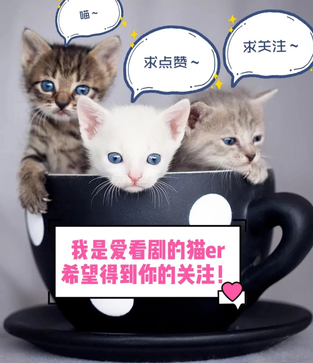 “初时相亲相爱，最终不共戴天”，古装剧中反目成仇的“姐妹花”
