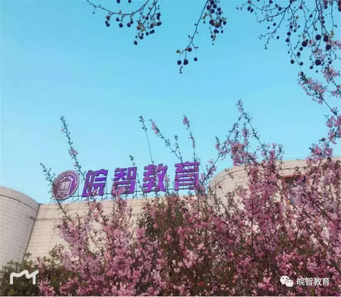 合肥皖智高复学校- 坚持——百尺寒冰，亦能怒放万朵蔷薇