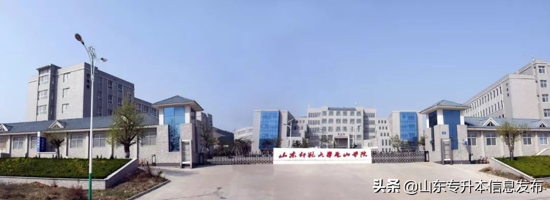 山东专升本各专业对应招考院校分析---计算机科学与技术