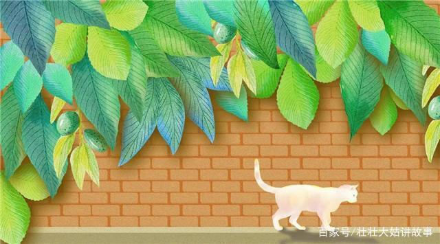 高中生活的二三事