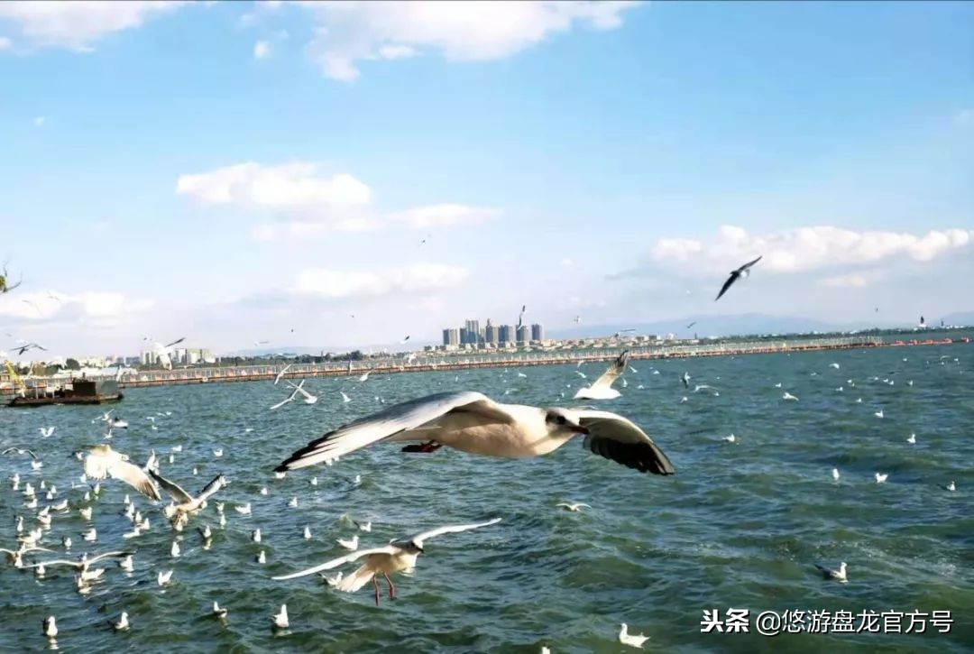资讯｜昆明绝佳十大文艺拍照圣地，全部去过的请举手！