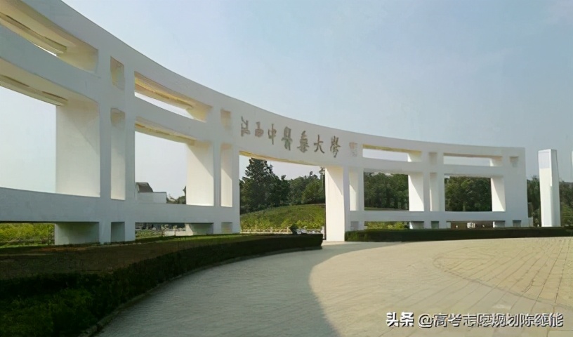 全国中医本科院校学科实力排行榜