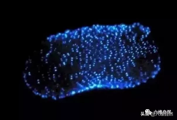 火体虫(深海有一群像巨虫的浮游生物，长达18米，却是滤食性食浮游生物)