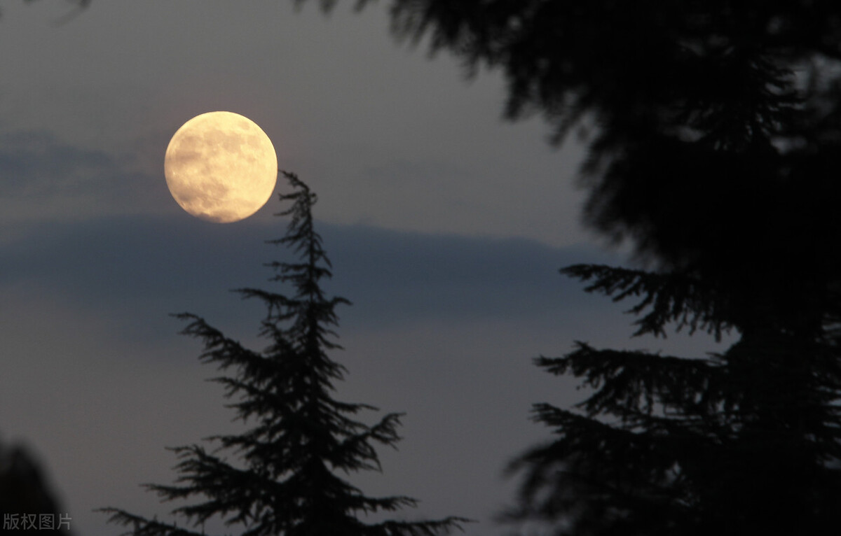 天上月正圆,人间小离别