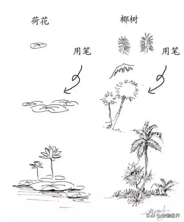 干货！教你15种速写植物配景画法，简单易学，学会画速写很简单