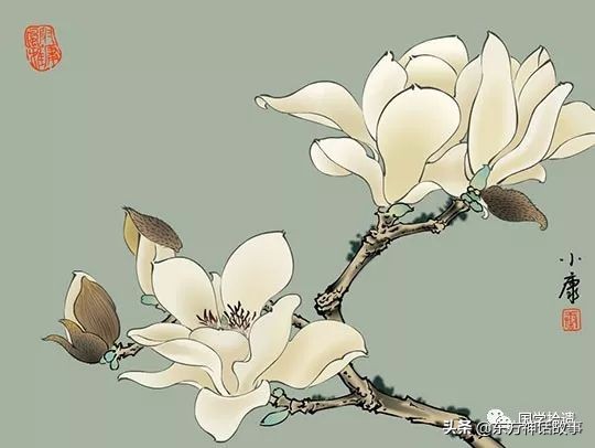 十首玉兰花的诗词——每一首都尽显其孤傲，优雅之气