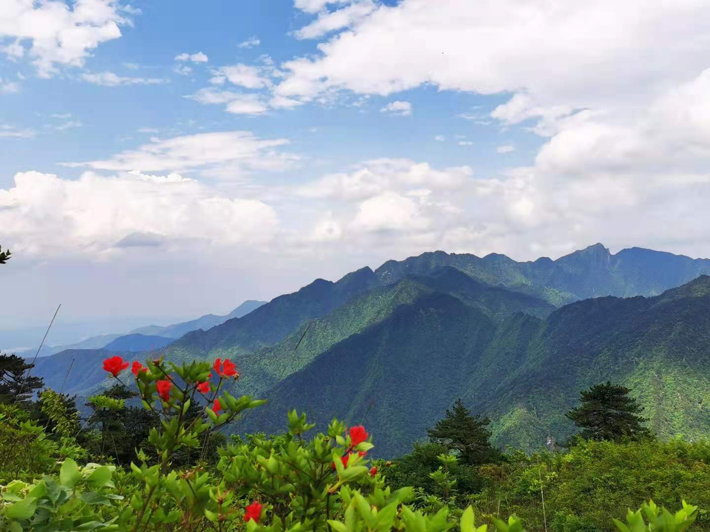 武功山海拔多少米(爱恨武功山，一生一定要去一次的徒步天堂)