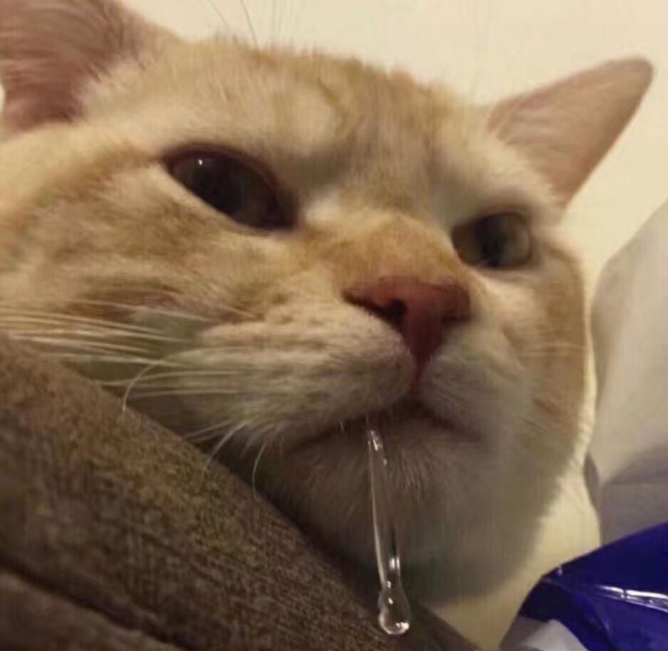 猫流口水是什么情况(猫流口水是什么情况啊)-麦斯财经