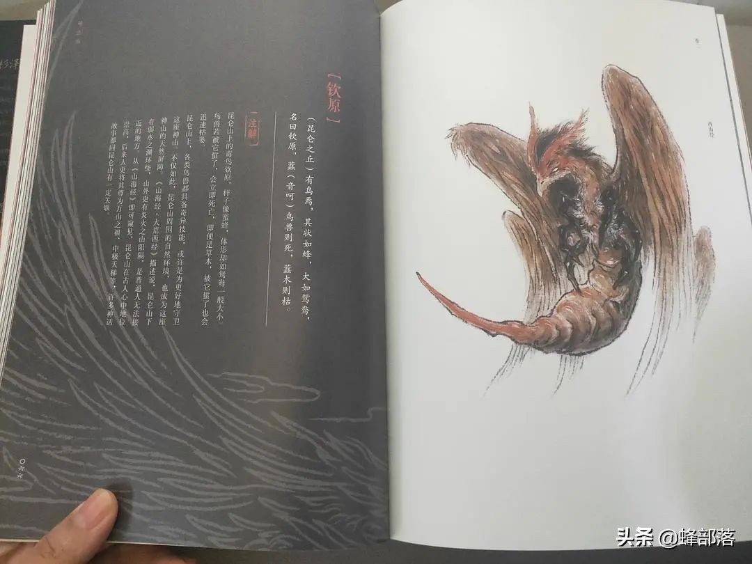但在《山海经》中,钦原可不是蜂类,而是被归为一种鸟类,也是从
