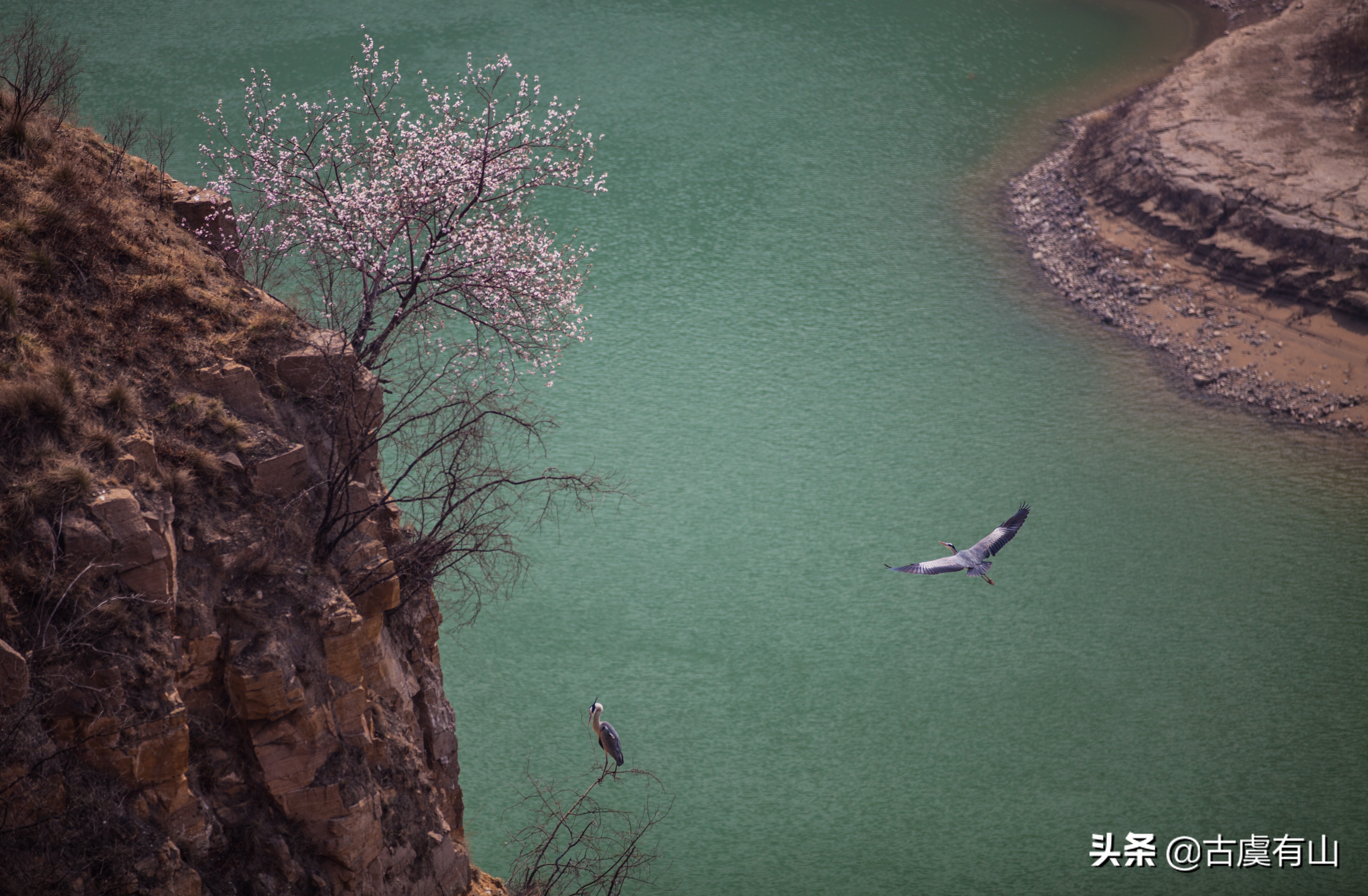 西塞山前白鹭飞什么流水鳜鱼肥西塞山前白鹭飞桃花流水鳜鱼肥是什么诗