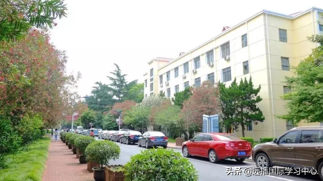 鼎石、包玉刚、世外、深外国际部等三十多所国际学校开放日汇总