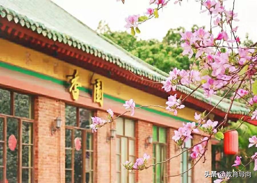 广东“退步”明显的大学，以前是全国百强，如今却没能入选双一流