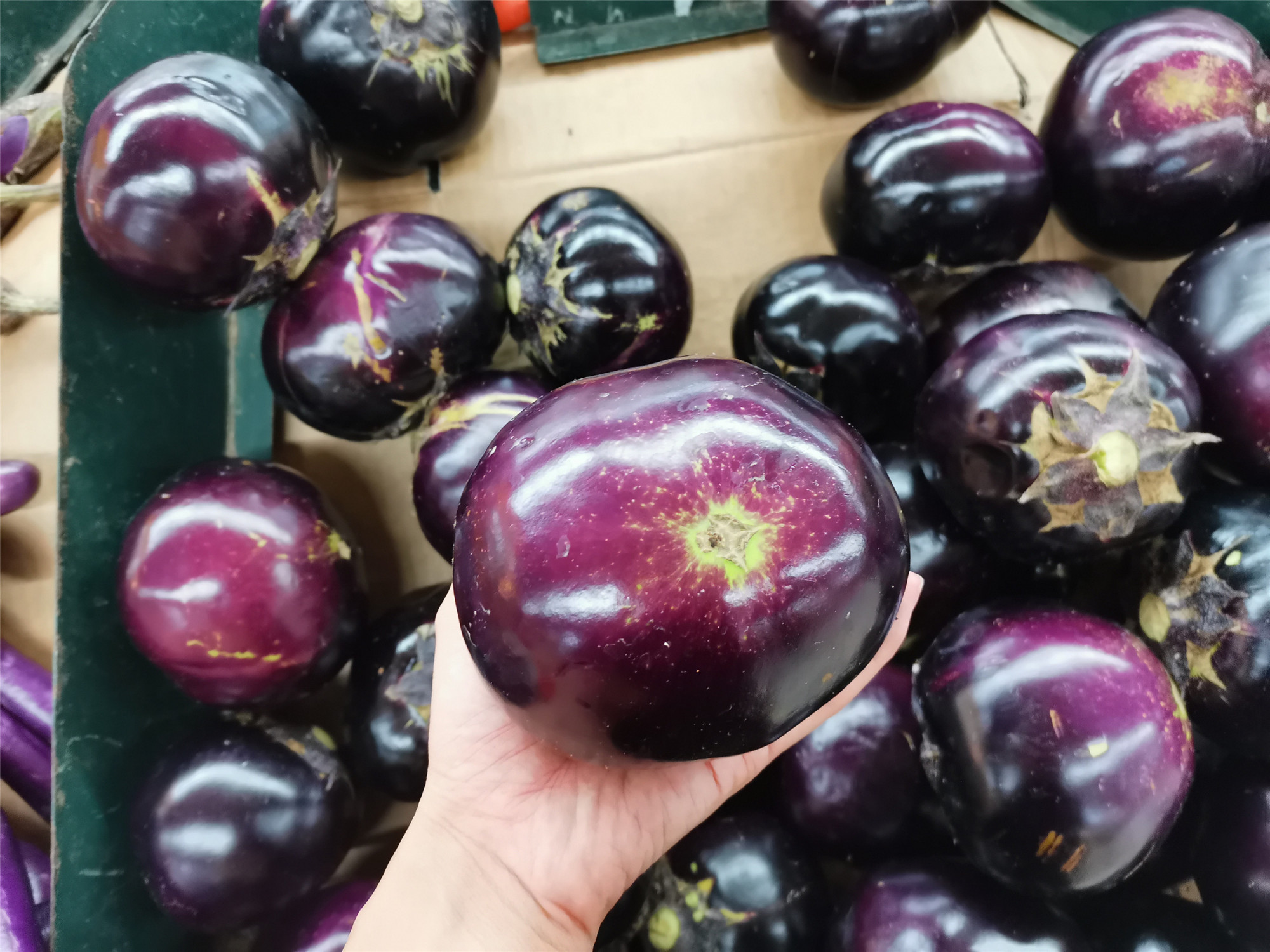 买茄子，圆茄子好还是长茄子好？不同品种不同做法，别搞错了