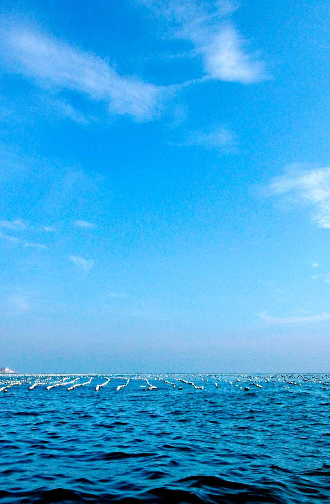 如果你问我舟山是什么颜色我会说ta是蓝色湛蓝的天空,碧蓝的大海