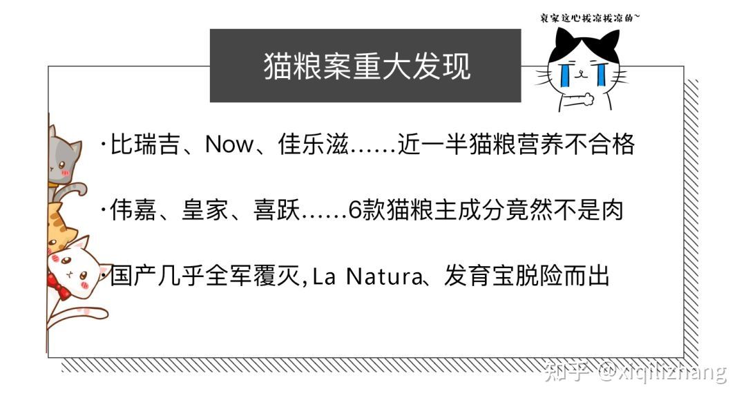2021年20款专业猫粮评测推荐｜国货几乎团灭，新晋品牌LA异军突起